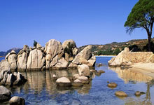 爱游戏-青海队实现逆袭，士气高昂迈向巅峰，青海篮球队员名单