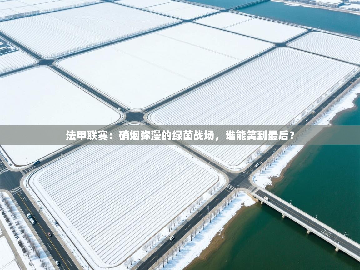 法甲联赛:硝烟弥漫的绿茵战场,谁能笑到最后? 第1张