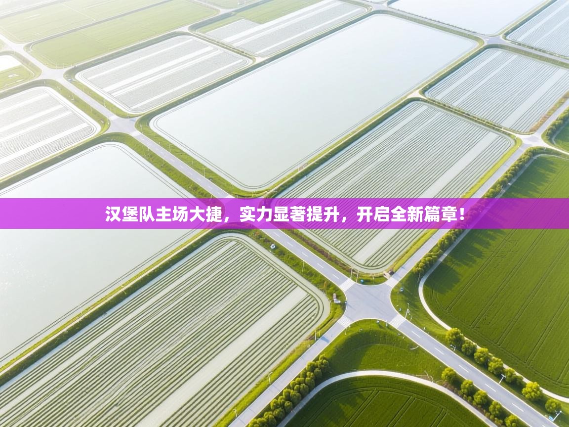 汉堡队主场大捷，实力显著提升，开启全新篇章！  第1张